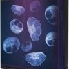 Amazonas Jellyfish Aquarium Set
