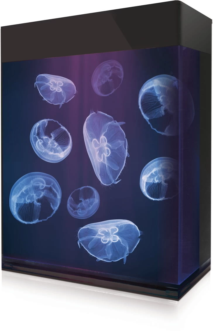 Amazonas Jellyfish Aquarium Set 1 Amazonas Jellyfish Aquarium Set