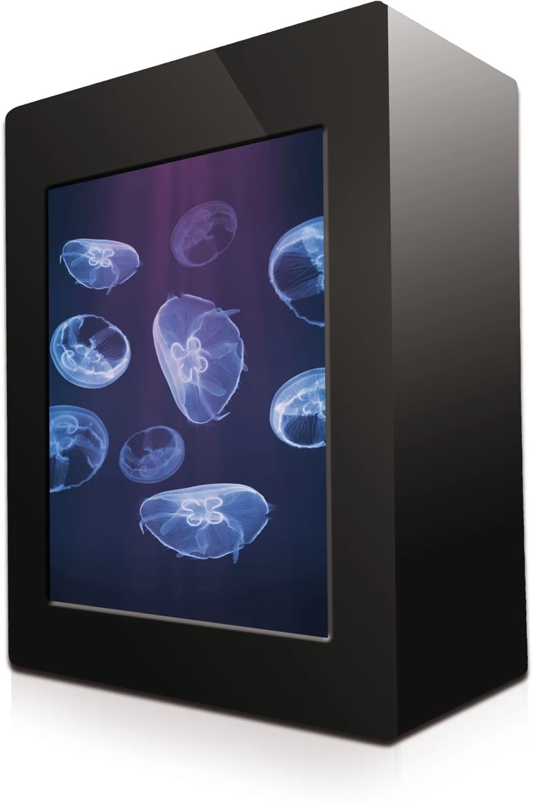 Amazonas Jellyfish Aquarium Set 2 Amazonas Jellyfish Aquarium Set - Image 2