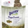 Bunny DeguTraum Basic