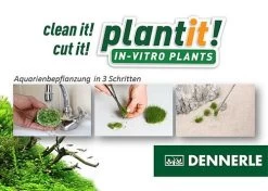 Haustierprodukte -Haustierprodukte dennerle invitro545469a00d7b9