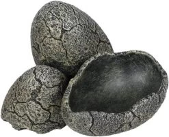 Aqua Della Dinosauriereier