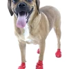 Pawz Pfotenschutzschuhe S