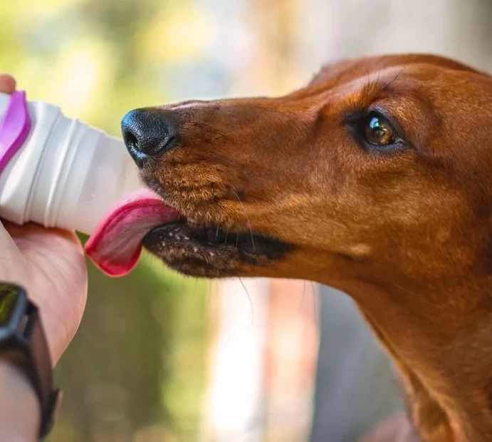 Doggyroller - Mit Karabinerhalterung Navy 2 Doggyroller - Mit Karabinerhalterung Navy - Image 2