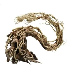 Diverse Aquascaping BonsaiDrachenbaum