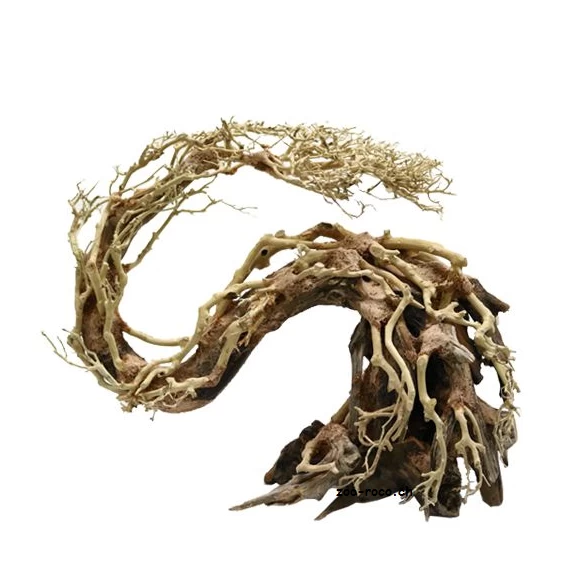 Diverse Aquascaping BonsaiDrachenbaum 2 Diverse Aquascaping BonsaiDrachenbaum - Image 2