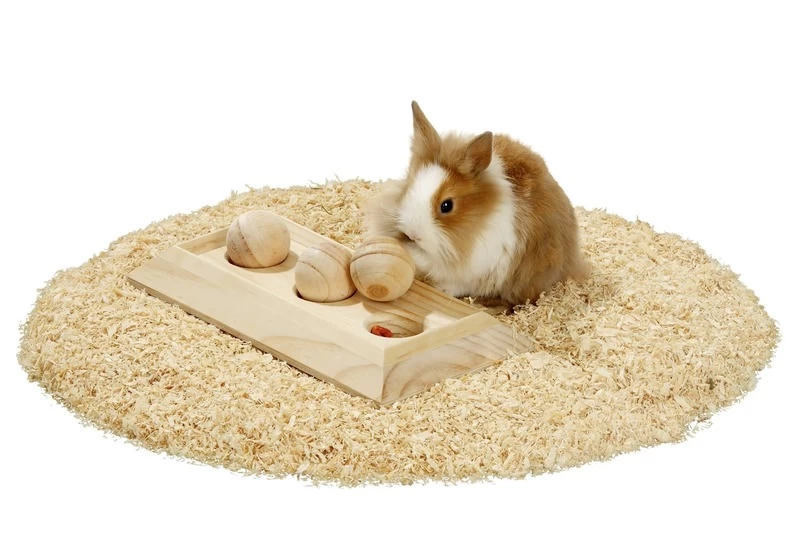 Karlie Rody Brain Train Board 30x15cm 1 Karlie Rody Brain Train Board 30x15cm