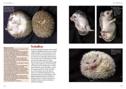 NTV - Weissbauchigel -Haustierprodukte eac0426a95b0d83b19ebbc998593d658