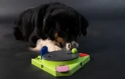 Eat Slow Live Longer Puzzle Dreieck -Haustierprodukte eat slow live longer triangle 1