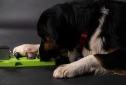 Eat Slow Live Longer Puzzle Dreieck -Haustierprodukte eat slow live longer triangle 2