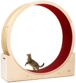 Katzenlaufrad Simba