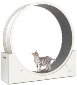 Katzenlaufrad Simba -Haustierprodukte elmato katzenlaufrad weiss