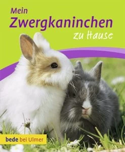 Bede Bei Ulmer, Mein Zwergkaninchen Zu Hause