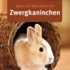 GU, Spielideen Für Zwergkaninchen