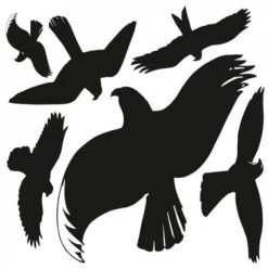 Diverse Fensterfolie Raubvögel