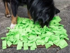 Procyon Schnüffelwiese -Haustierprodukte fischbachermichael