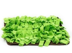 Procyon Schnüffelwiese