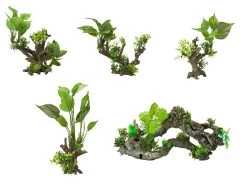 Florascape Deko-Wurzel