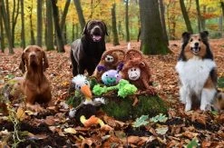 Knotentier - Wally Das Geiermädchen -Haustierprodukte fresco image bild 2