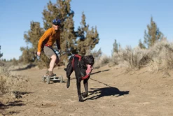 Ruffwear Omnijore Dog Harness -Haustierprodukte fuzifzu