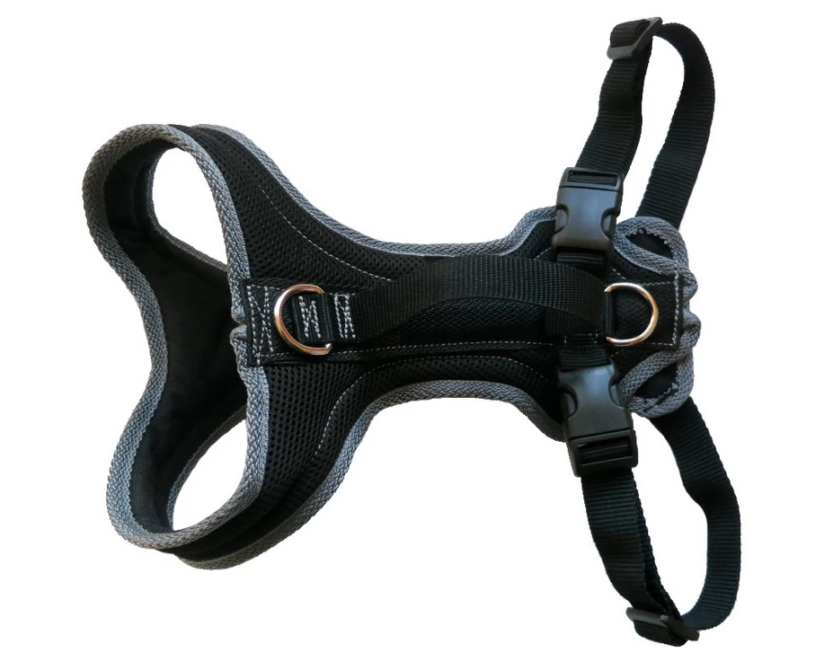 Dog FunRun Standard Typus Windhund - Grob Gewebt 1 Dog FunRun Standard Typus Windhund - Grob Gewebt