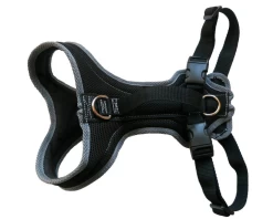 Dog FunRun Standard Typus Dogge - Fein Gewebt