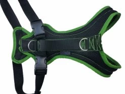 Dog FunRun Standard Typus Dogge - Grob Gewebt