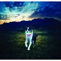 LED Ball Disco -Haustierprodukte glow streak led ball 1