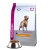 Eukanuba Golden Retriever 12kg