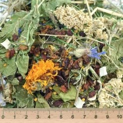 Grünhopper Winter -Haustierprodukte gruenhopper winter 1