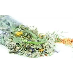 Grünhopper Winter -Haustierprodukte gruenhopper winter 2