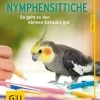 GU, Nymphensittiche
