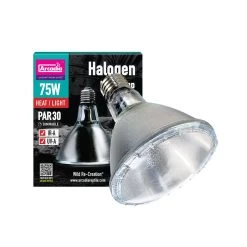 Haustierprodukte -Haustierprodukte halogen lampe 1