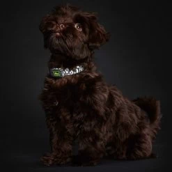 Hunter Convenience Reflect - Leopard 10 Hunter Convenience Reflect - Leopard -Haustierprodukte halsband reflect leopard 4