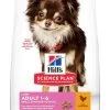 Hill's Science Plan Hill's Canine Light Adult Mini