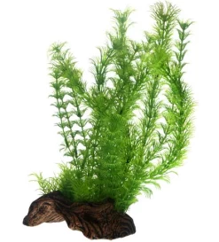 Hobby, Flora Root 3/L - 30cm