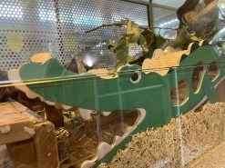 Duvo Holz Spielhaus Nagetier Krokodil -Haustierprodukte holz spielhaus krokodil 4