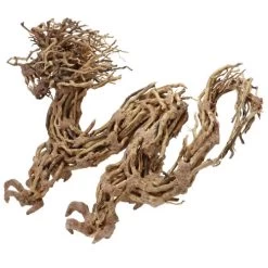 Hobby Drache Aus Echtholz -Haustierprodukte holzdrache 2