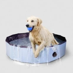 CoolPets Hundepool -Haustierprodukte hunde pool 2