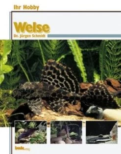 Diverse Ihr Hobby Welse