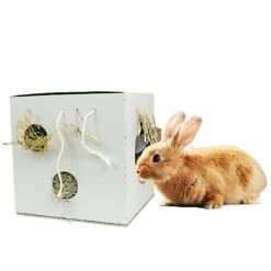 JR FARM PlasticFree - Aktiv Box -Haustierprodukte jr active box 2