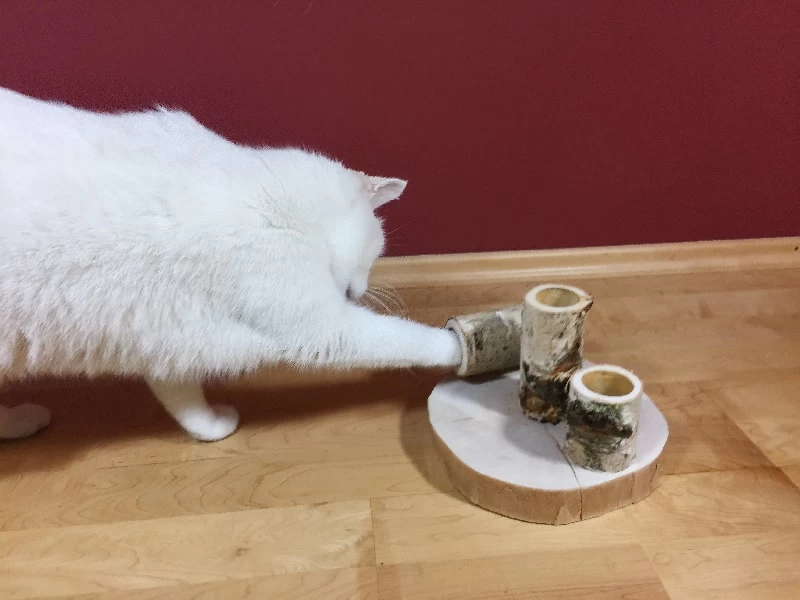 JR Farm Fun Park Für Katzen 5 JR Farm Fun Park Für Katzen - Image 5