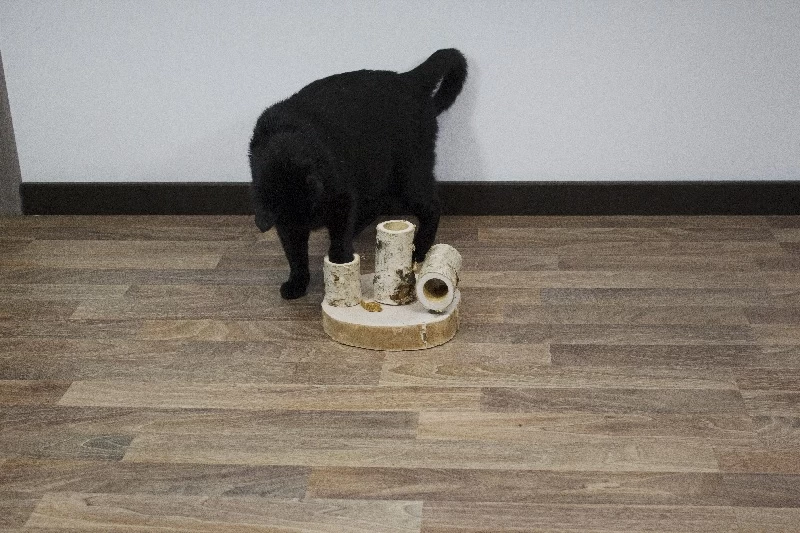 JR Farm Fun Park Für Katzen 6 JR Farm Fun Park Für Katzen - Image 6