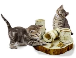 JR Farm Fun Park Für Katzen