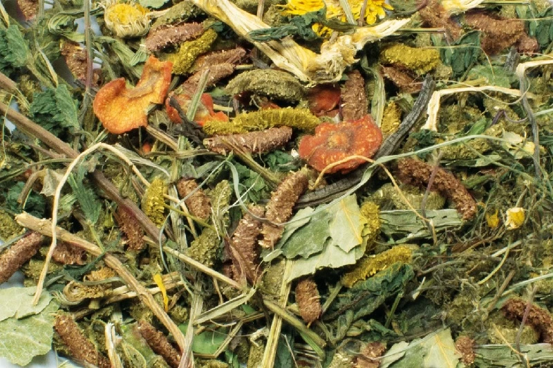 JR Farm Grainless Health Mix Zwergkaninchen 1,2kg 2 JR Farm Grainless Health Mix Zwergkaninchen 1,2kg - Image 2