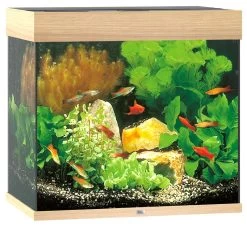Juwel Aquarium Lido 120 -Haustierprodukte juwel lido 120 hell aquarium