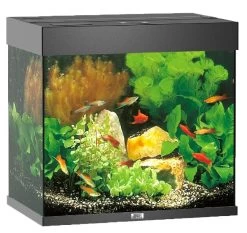 Juwel Aquarium Lido 120 -Haustierprodukte juwel lido 120 schwarz aquarium