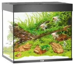 Juwel Aquarium Lido 200 -Haustierprodukte juwel lido 200 schwarz aquarium