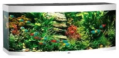 Juwel Vision 260 - Aquarium