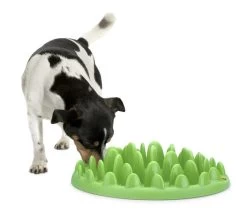 Karlie NORTHMATE ® GREEN